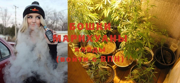 spice Богданович