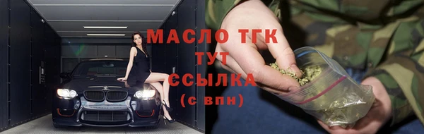 spice Богданович