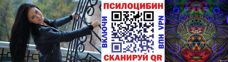 MEGA рабочий сайт  Славгород  Псилоцибиновые грибы Cubensis  что такое  